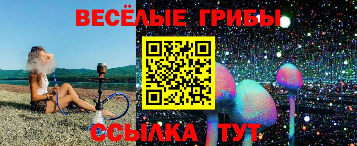 Псилоцибиновые грибы Cubensis Избербаш