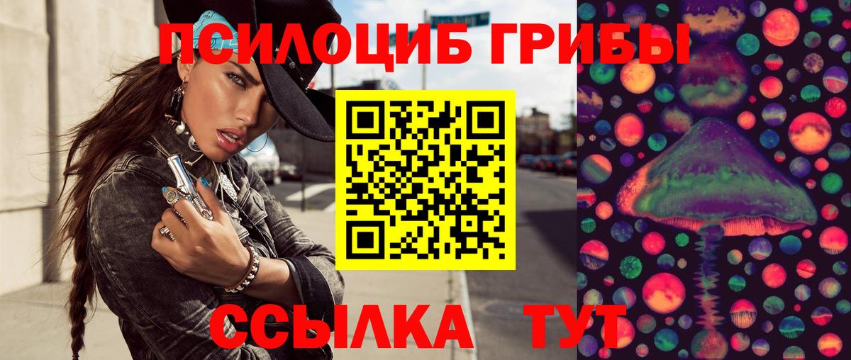 Избербаш  Псилоцибиновые грибы Psilocybe  Вход с VPN 